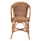 Baxton Studio Neola Bohemian Rattan 2pc. Dining Chair Set - image 4