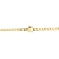 Mens Lynx Stainless Gold-Tone Curb Chain Necklace - image 2
