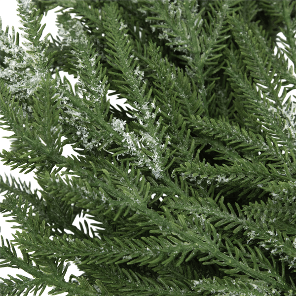 Northlight Frosted Norfolk Pine Artificial Christmas Wreath