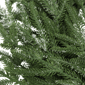 Northlight Frosted Norfolk Pine Artificial Christmas Wreath - image 6