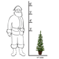 Santa''s Workshop 3ft. Pre-Lit Warm White Green Slim Potted Tree - image 2