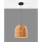 Adesso Bahama Ceiling Pendant - image 2