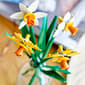 LEGO&#174; Daffodils Botanical Collection Building Set - image 13