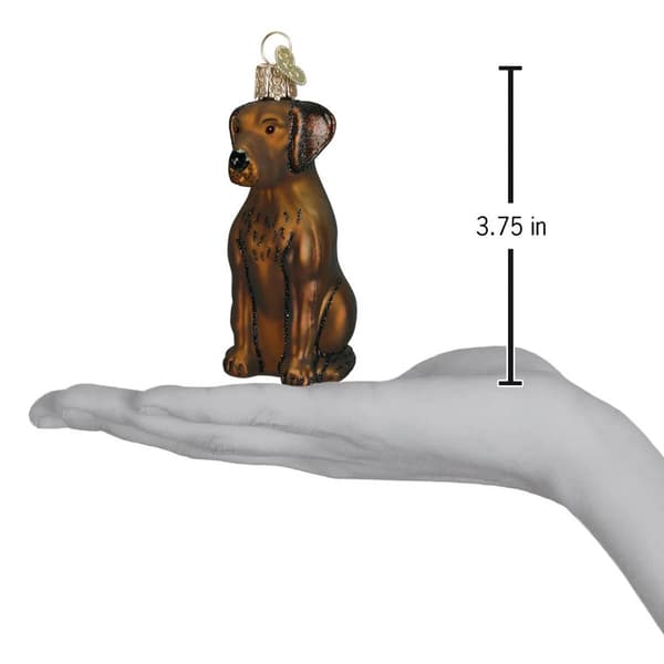 Old World Christmas Sitting Chocolate Lab Ornament