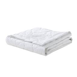 Waverly Antimicrobial Down Alternative Blanket