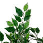Northlight Seasonal 47in. Artificial Ficus Potted Plant - image 3