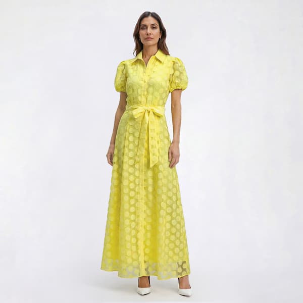 Womens Sandra Darren Short Sleeve Burnout Dot Shirtdress - image 