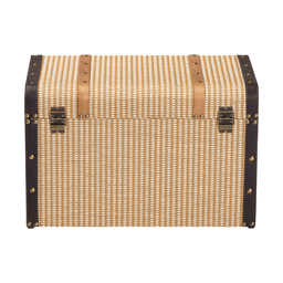 Baxton Studio Manton Woven Exterior Storage Trunk