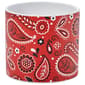 Bandana Flower Pot - image 1