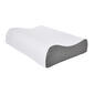 Sealy Memory Foam Contour Pillow with Cover - image 1