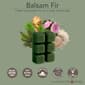 Candle Warmers Etc. 8pk. Balsam Fir &amp; Holly &amp; Ivy Wax Melts - image 2