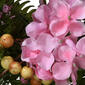 National Tree 22in. Hydrangea Floral Wreath - image 4