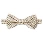 Boys Bill Blass Bow Tie - Yellow - image 1