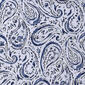 Oceanfront Resort Indienne Paisley Duvet Set - image 2