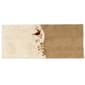 Avanti Gilded Birds Rug - image 1