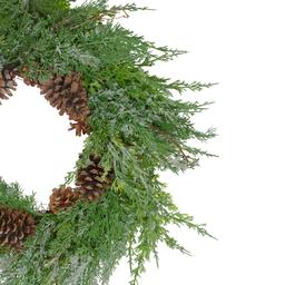 Northlight Seasonal 26in. Frosted Artificial Christmas Wreath