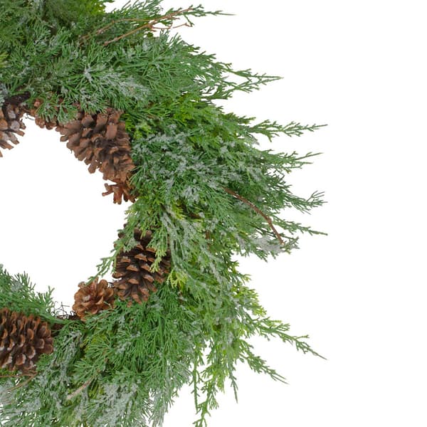 Northlight Seasonal 26in. Frosted Artificial Christmas Wreath