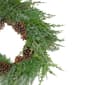 Northlight Seasonal 26in. Frosted Artificial Christmas Wreath - image 5