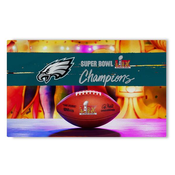 Northwest Super Bowl LIX Philadelphia Eagles Parade Area Rug - image 