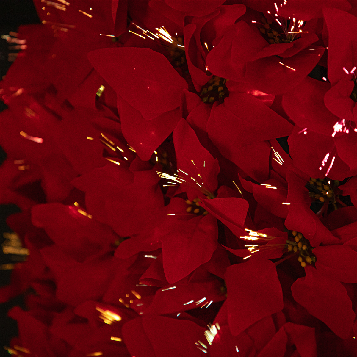 Northlight 6ft. Pre-Lit Color Changing Poinsettia Christmas Tree