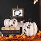 National Tree 9in. Halloween Crawling Bats Pumpkin D&#233;cor - image 3