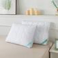 Waverly Antimicrobial Quilted Feather Pillow - image 1