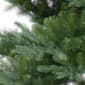 Puleo International 9ft. Pre-Lit Hillside Spruce Christmas Tree - image 5