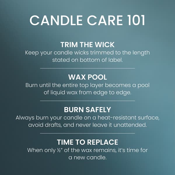 Yankee Candle® Bayside Cedar Signature Small Tumbler Candle