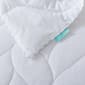 Waverly Antimicrobial Down Alternative Blanket - image 7