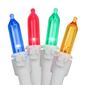 Northlight Seasonal 100 Multi LED Mini Christmas Lights - image 1