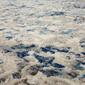 Mohawk Home Helios Blue Area Rug - image 5