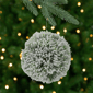 Northlight Frosted Pine Christmas Ball Ornament - 6in. - image 1