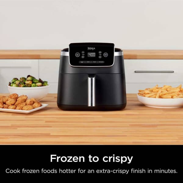Ninja® 5qt. Pro 4-in-1 Air Fryer