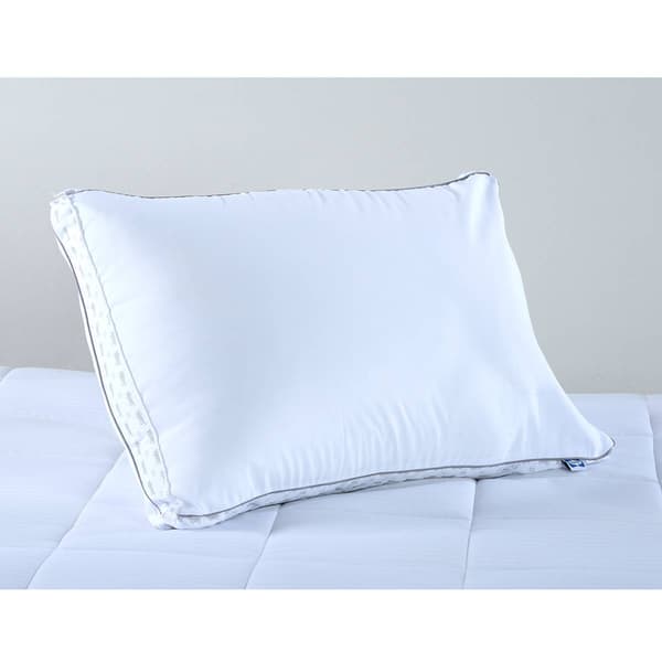 Boscov's store my pillow