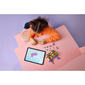 LEGO® Disney Rapunzel''s Mini Tower Building Kit - image 9