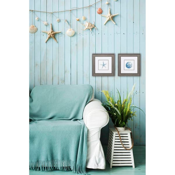 Sand Dollar Starfish Wall Decor Set of 2