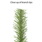 Puleo International 6ft. Pre-Lit Canadian Spruce Christmas Tree - image 6