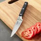 BergHOFF Gene Stainless Steel 3.5in. Paring Knife - image 4