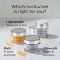 Elizabeth Arden Prevage&#174; Anti-Aging Cream SPF 30 - image 10