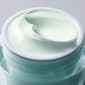 Est&#233;e Lauder&#8482; DayWear Multi-Protection Anti-Oxidant Creme SPF 15 - image 4