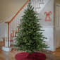 National Tree 7.5ft. LED Douglass Fir Christmas Tree - image 2