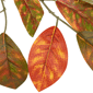 Northlight 5ft. Autumn Leaves & Berries Fall Harvest Garland - image 6