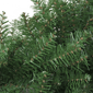 Northlight 48in. Northern Pine Artificial Christmas Wreath - image 3