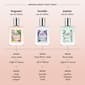 Philosophy Amazing Grace Bergamot Eau de Toilette - image 3