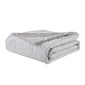 Waverly Antimicobial Reversible Down Alternative Blanket - image 1