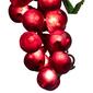 Northlight Seasonal 5 Red Grape Cluster String Lights - image 2