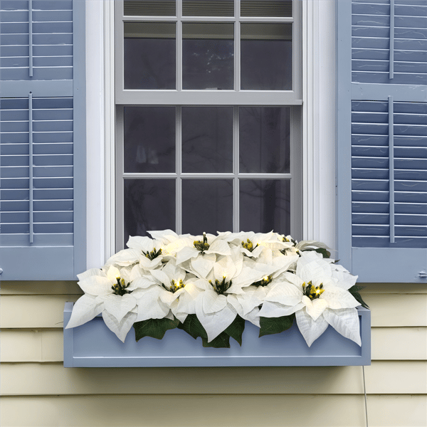 Puleo International Pre-Lit White Poinsettia Window Box Décor