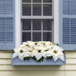 Puleo International Pre-Lit White Poinsettia Window Box Décor - image 6