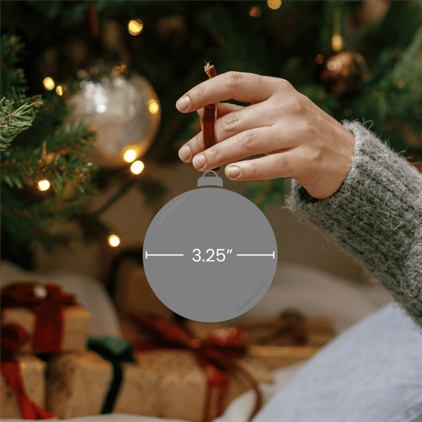 Northlight 4ct. Snowy City Christmas Glass Ball Ornaments