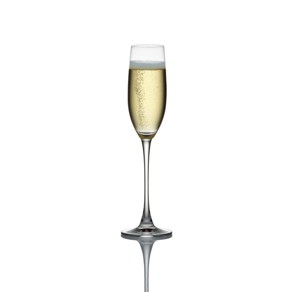 Lenox® Tuscany Classics Flute Glasses - Set of 4